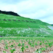 浙江水環(huán)境治理工程物化凝聚復合劑的環(huán)境檢測服務(wù)