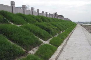 綿竹加強河道水環境治理，推進生態環境檢測服務