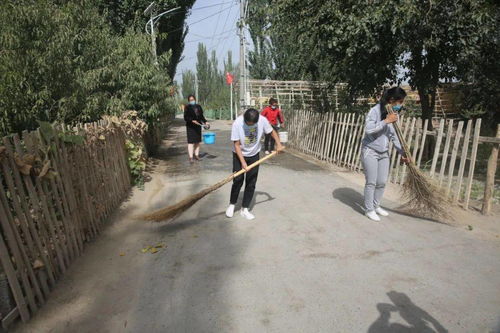 健康防疫 庭院整潔 鄉村環境優化與群眾健康保障