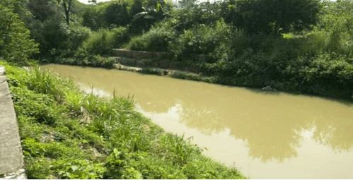 治水攻堅戰 | 新華街水環境治理進行時——9月11-13日環境檢測服務戰報