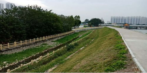 治水攻堅戰｜新華街水環境治理進行時，12月13日戰報及環境檢測服務動態