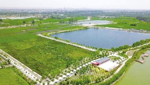 中衛市 多措并舉 鞏固提升水環境治理成效